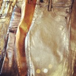 Metallic Pants